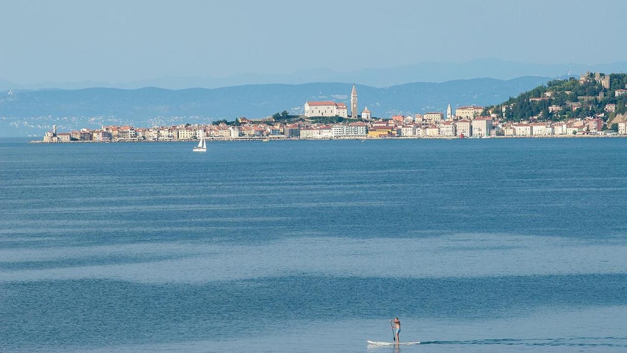 Villa Riva Umag Zewnętrze zdjęcie