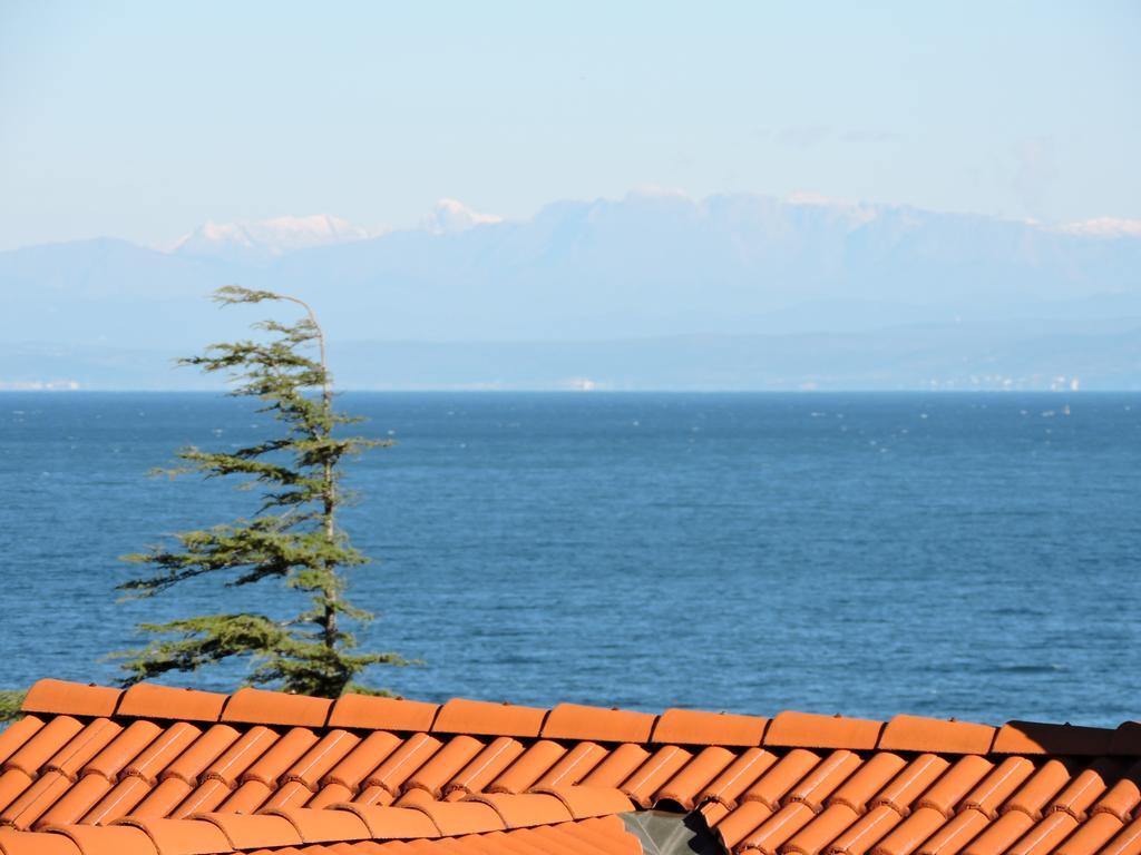 Villa Riva Umag Zewnętrze zdjęcie