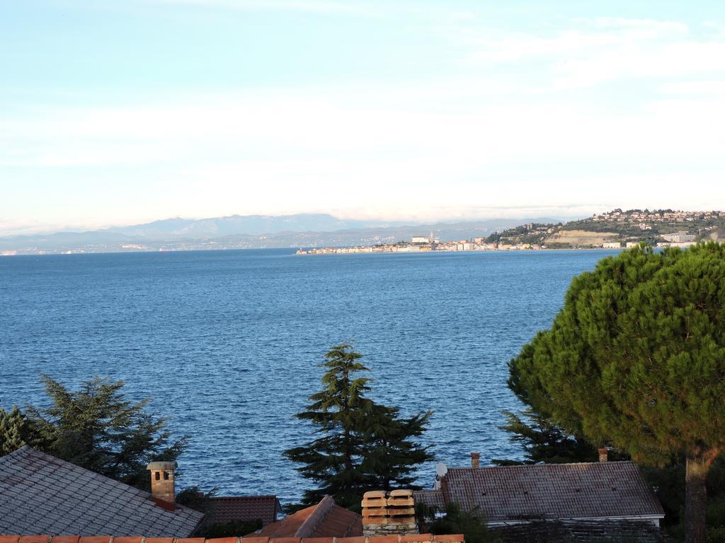 Villa Riva Umag Zewnętrze zdjęcie